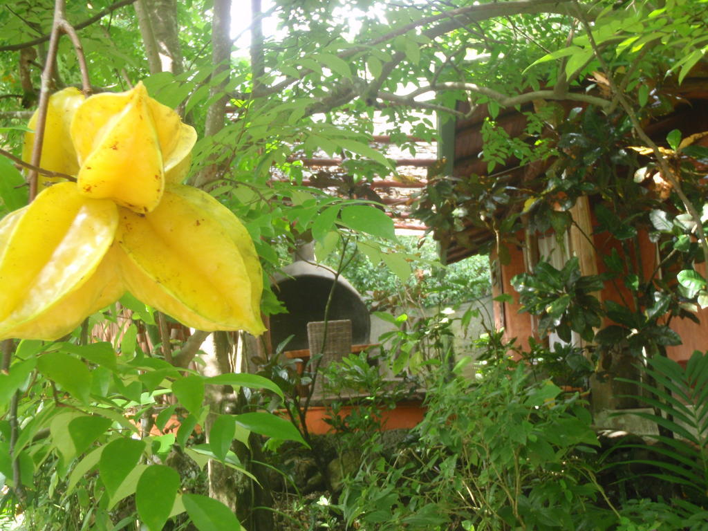 Pachamama Tropical Garden Lodge Malpais Exterior photo